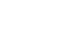 Next Level Removals